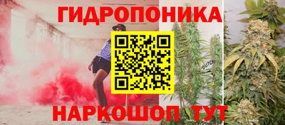 apvp Гай
