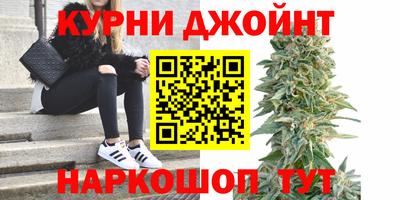 apvp Гай