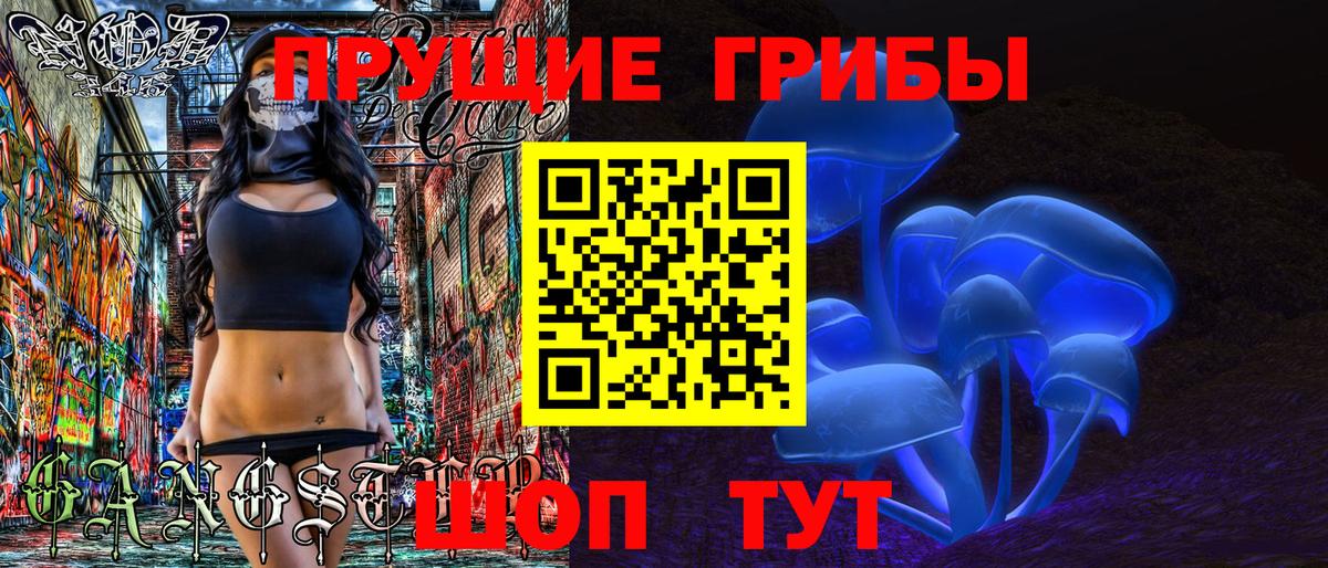 Галлюциногенные грибы Psilocybine cubensis  Вход с VPN  Муром 