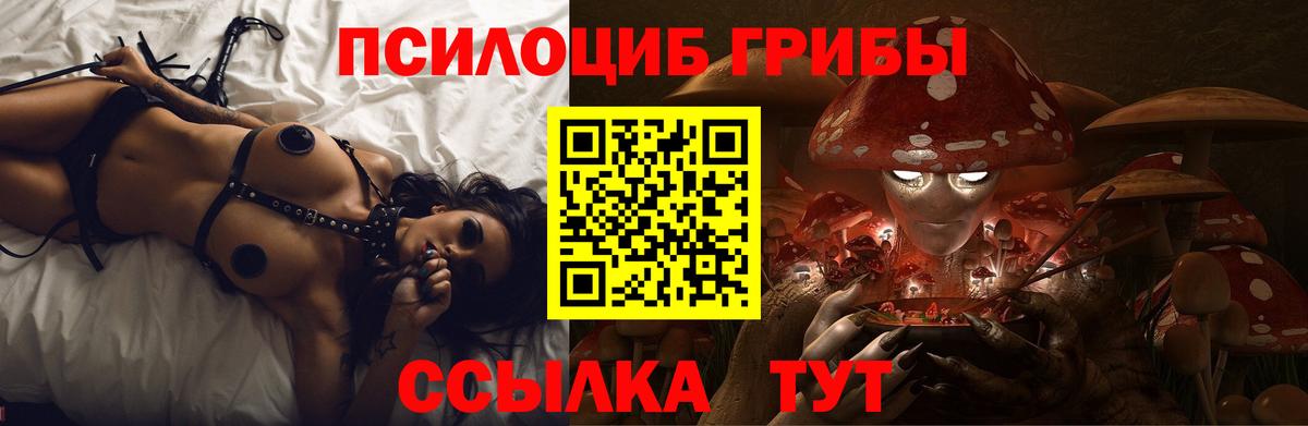 Галлюциногенные грибы MAGIC MUSHROOMS Муром